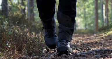 En person som är ute och går i skogen