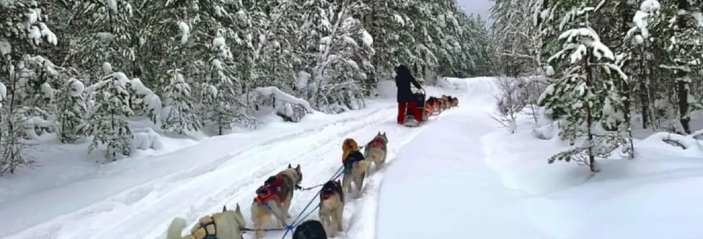 Hundspann med Adventure Huskey 