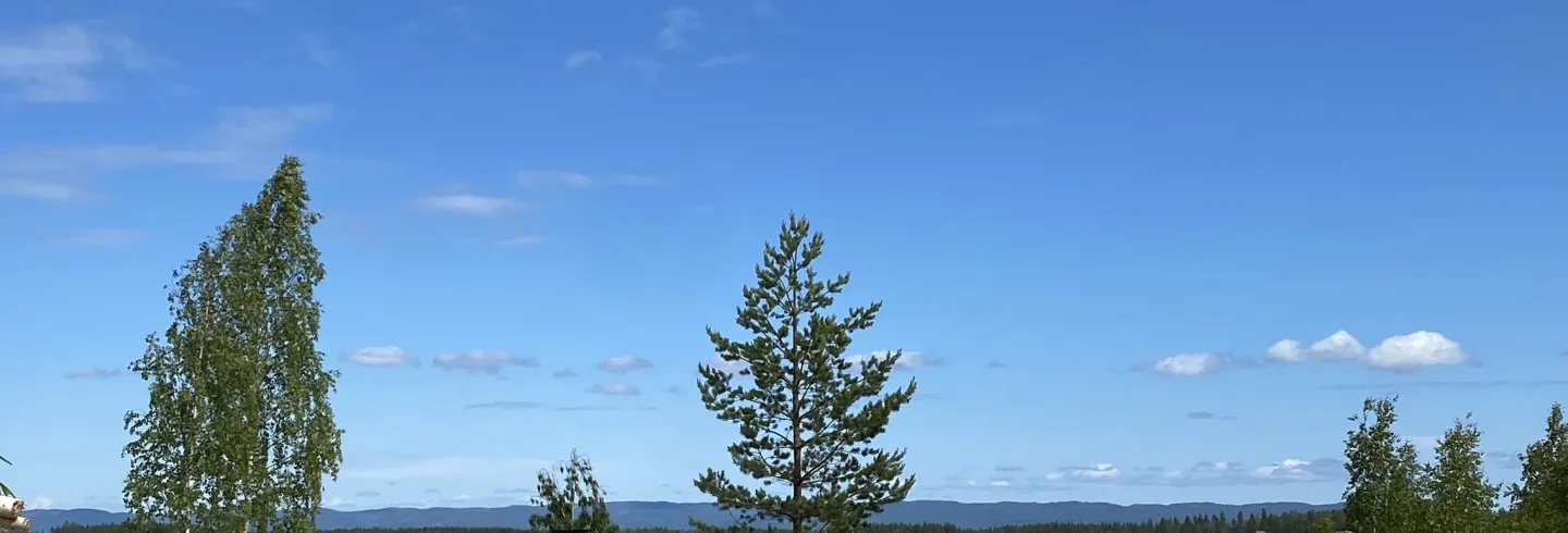 Bergsvilans ställplatser i Bobygda