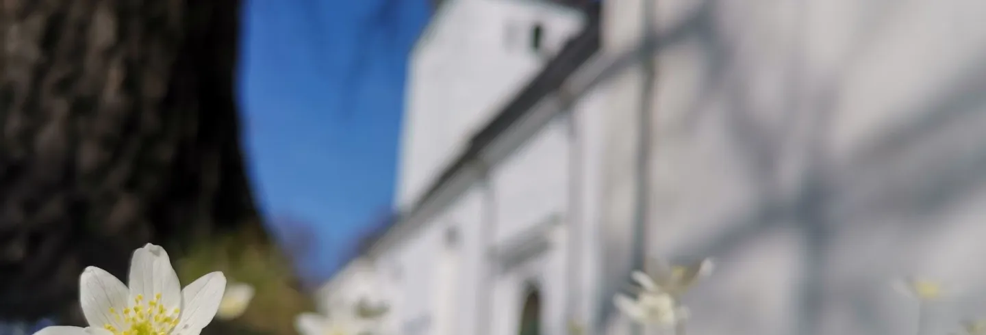 Konsert i Jakobs kyrka
