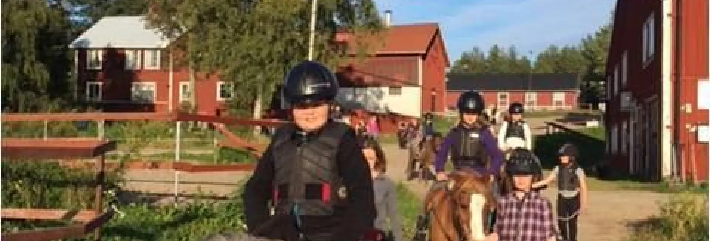 Sommar Kul med häst