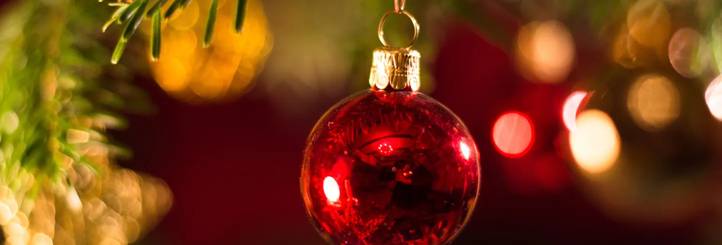 Julkonsert - med Björkbergskören i Rogsta kyrka