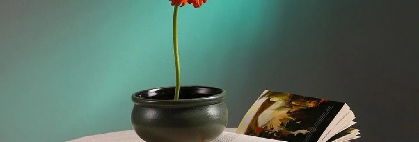 Bokcirkel på Bjuråkers bibliotek