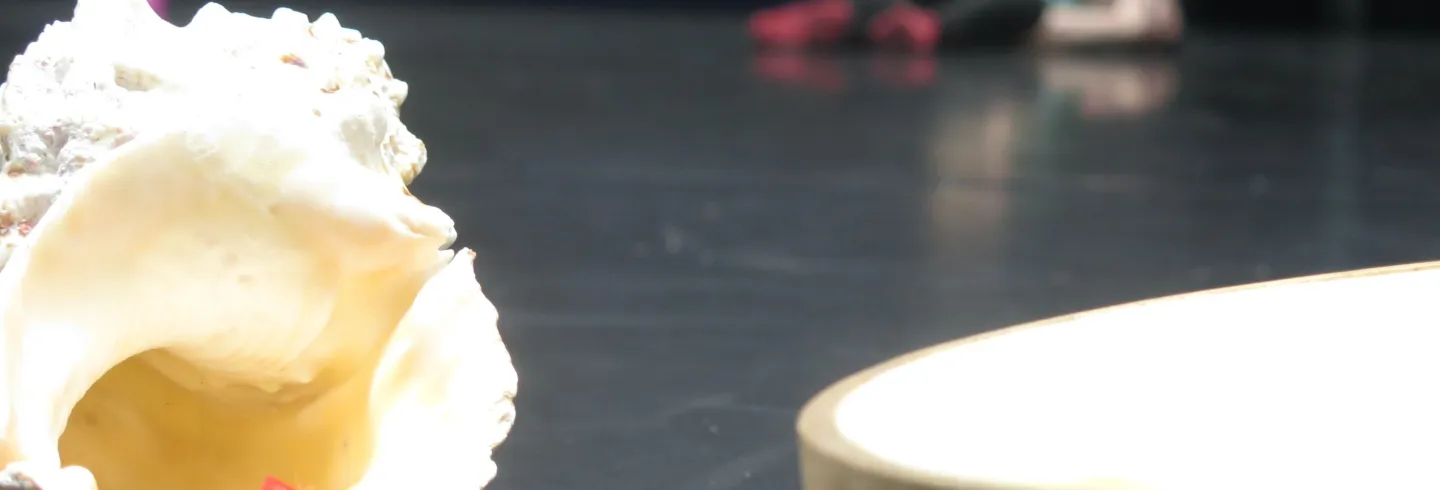 snäcka och trumma i näbild