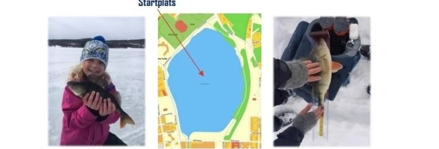 sportlovspimpel på Lillfjärden i Hudiksvall