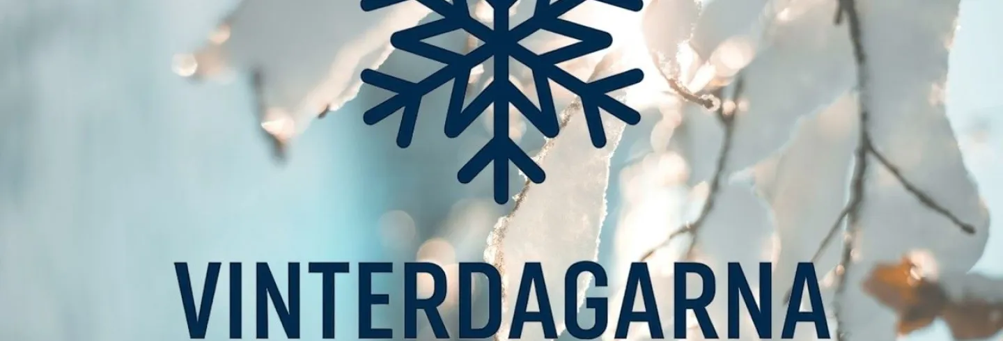 Vinterdagarna i Glada Hudik