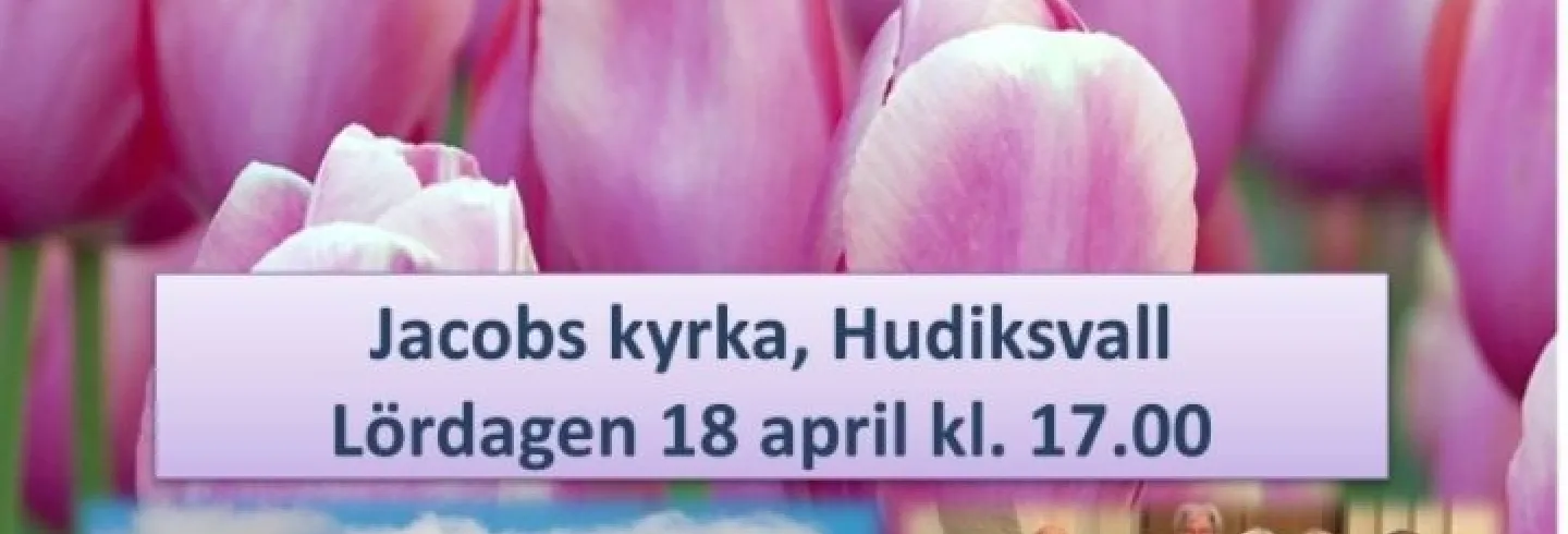 Den allra sista konserten