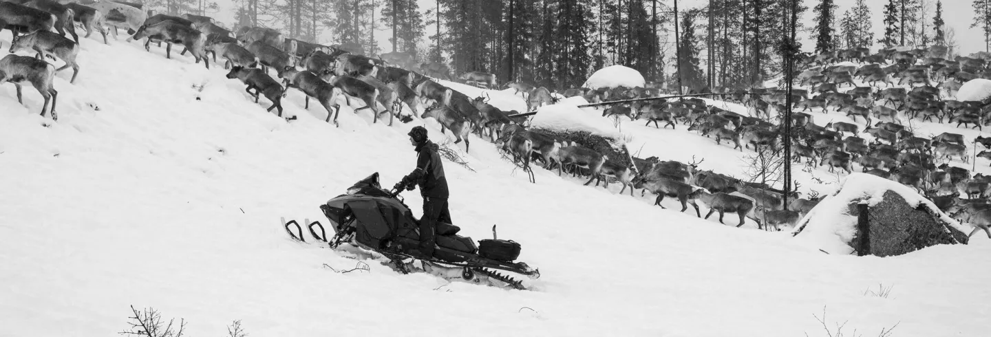 Kvällsvisning av Kolonin med soppa