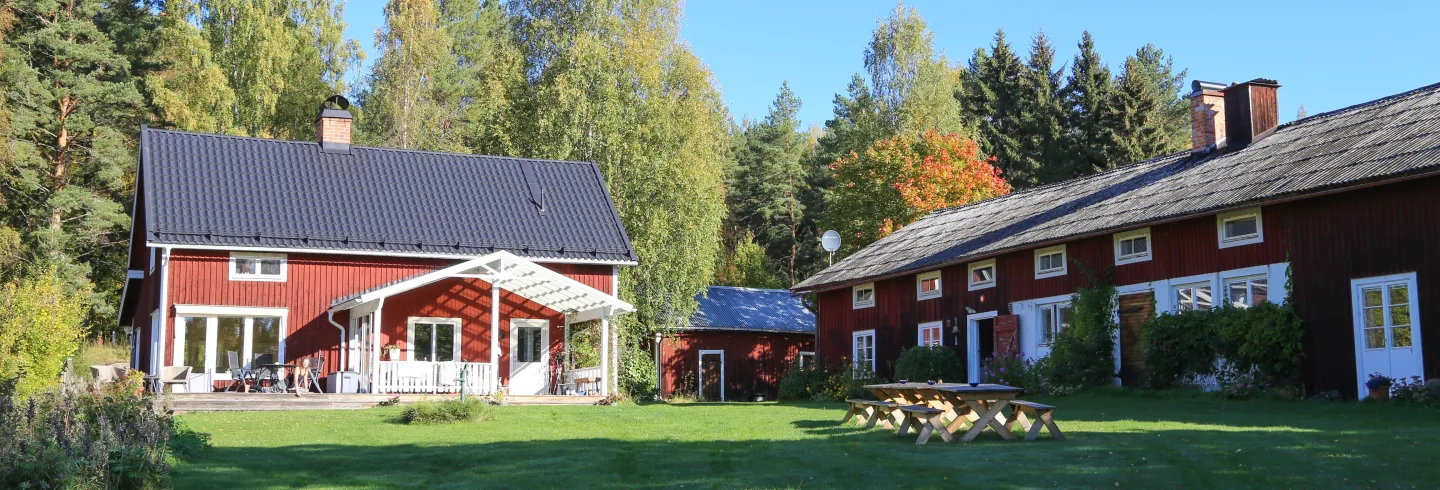 Yoga Therapeutics Retreat July 21-26, 2026