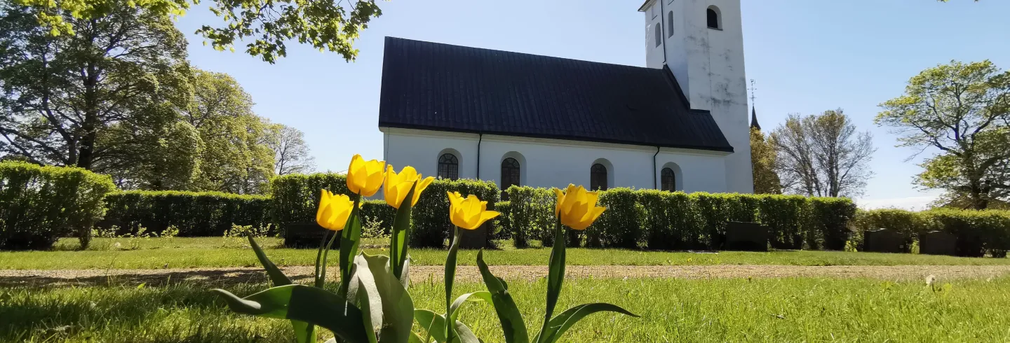 Psalmkvällar - Hälsingtuna kyrka