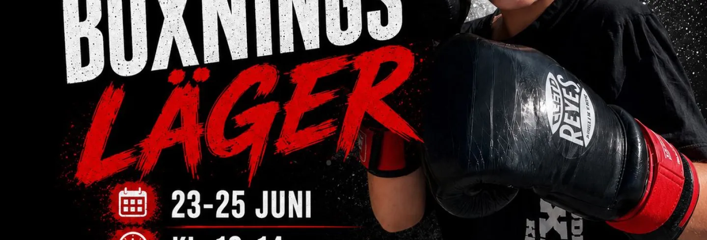 Boxningsläger
