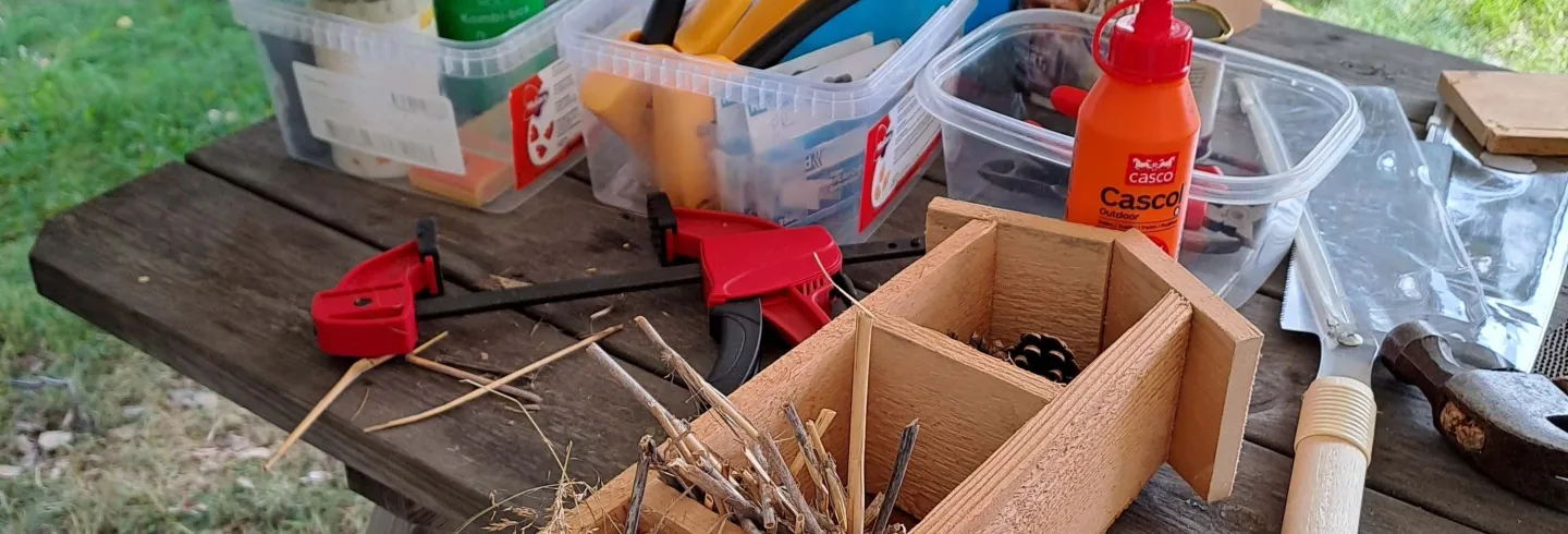 Sommarlovskul: Bygge av fågelholk och insektshotell