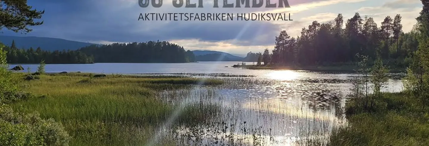 Välkommen till Hälsinglands Besöksnäringsdag 