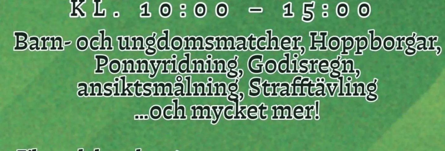 Näsvikendagen