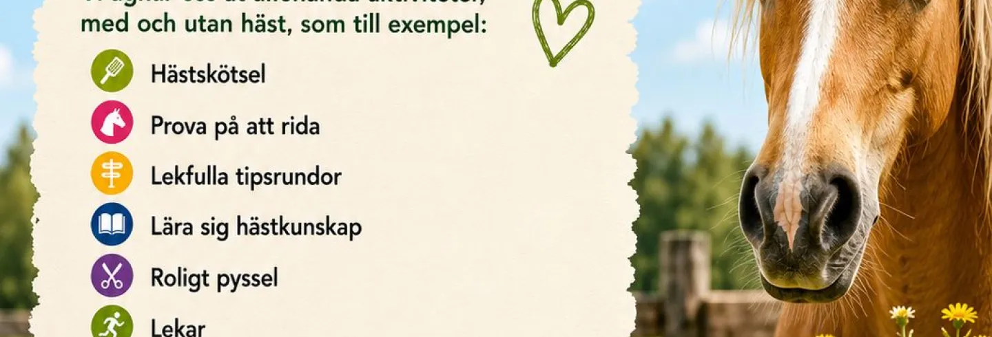 Sommarkul med häst