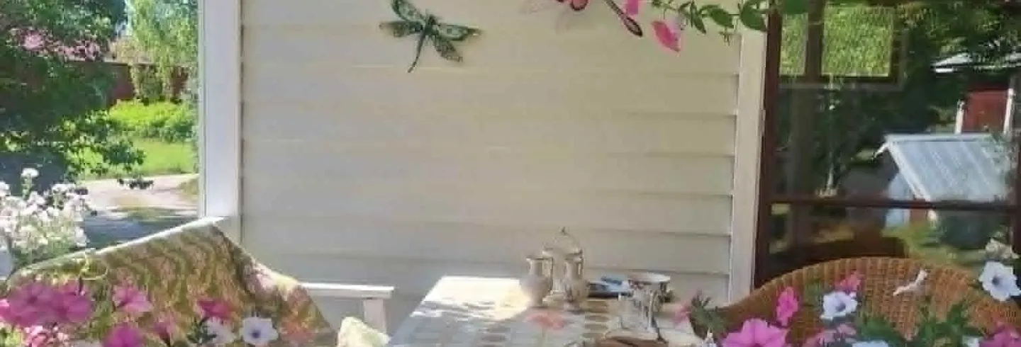 Trädgårdskafé med hembakad kakbuffé i Trollsländans värld
