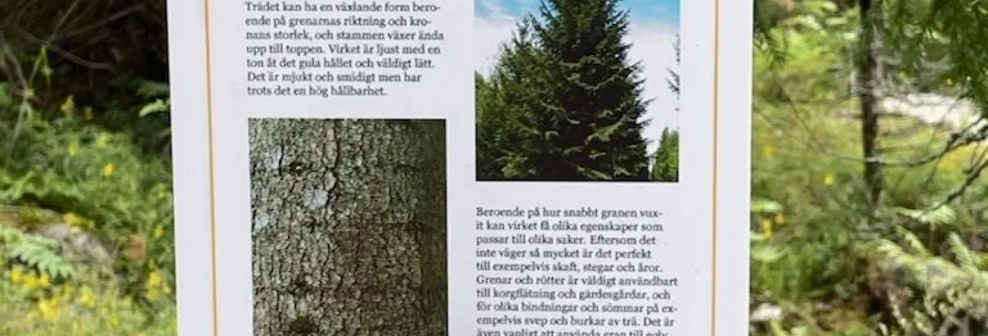 Slöjdstig, Köpmanbergets strövområde