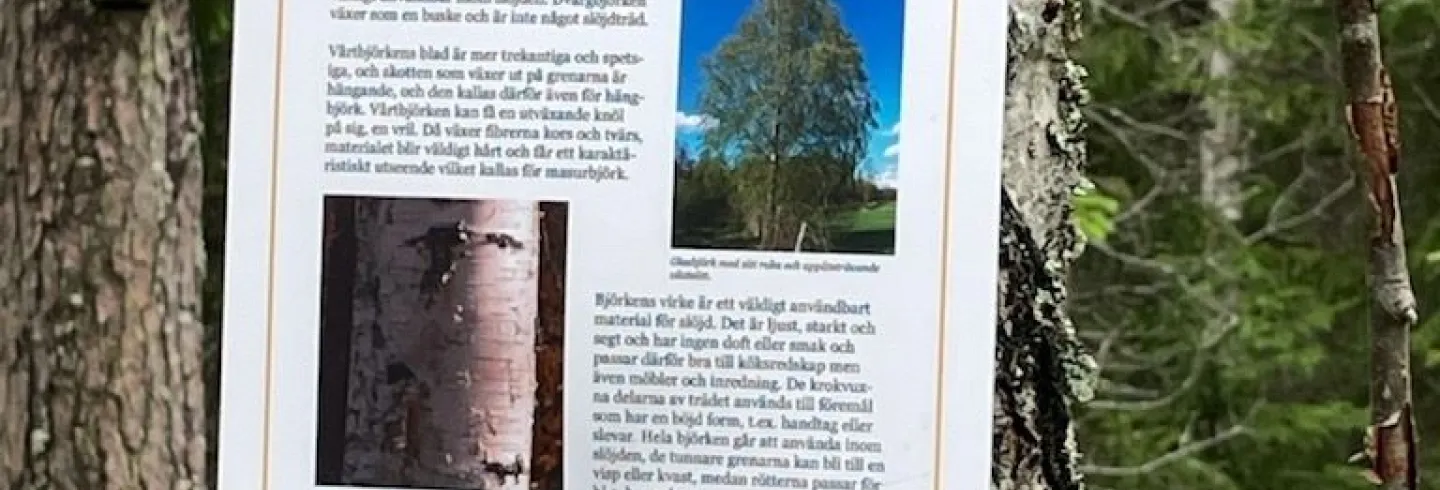 Slöjdstig, Köpmanbergets strövområde