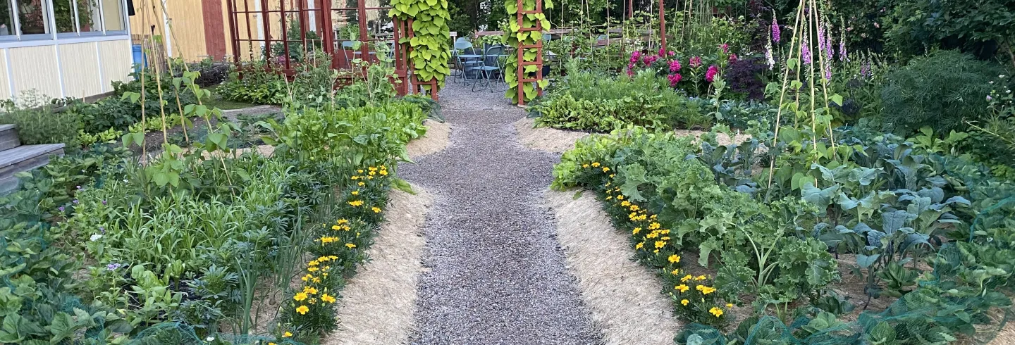 Musik & Trädgård: Invigning av Lottas Trädgårdspark
