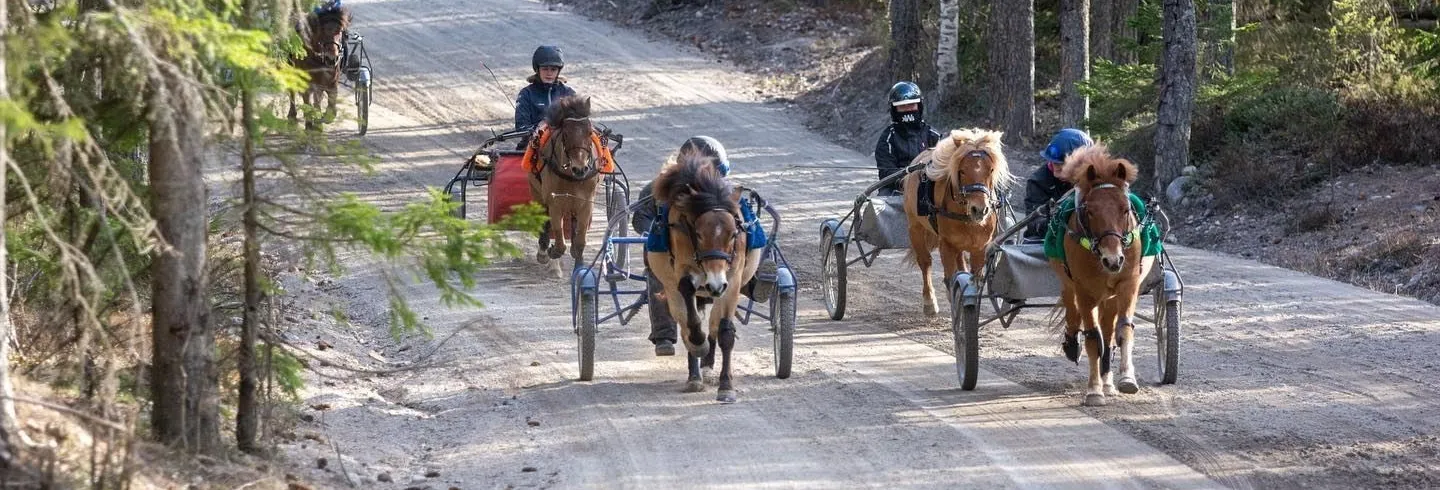 Nybörjargrupp för barn på travskolan