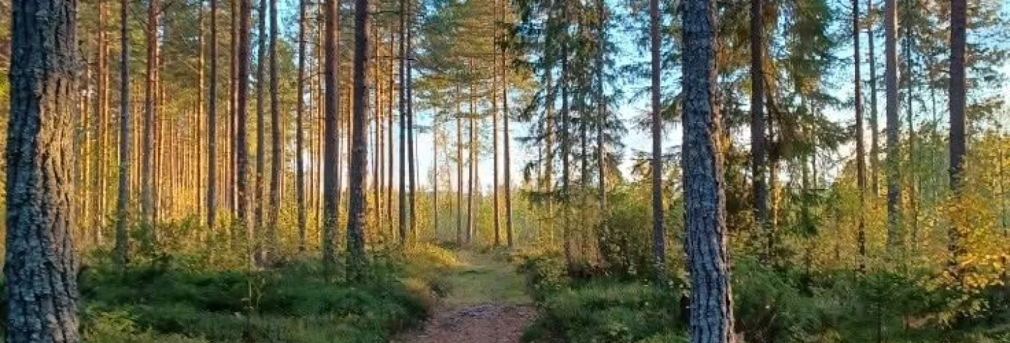 Norrboleden höstvandring 2026