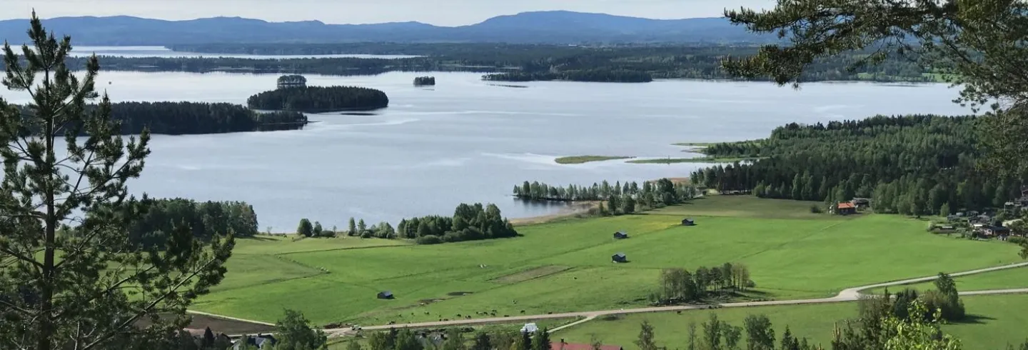 Snacka om Dellenbygden!