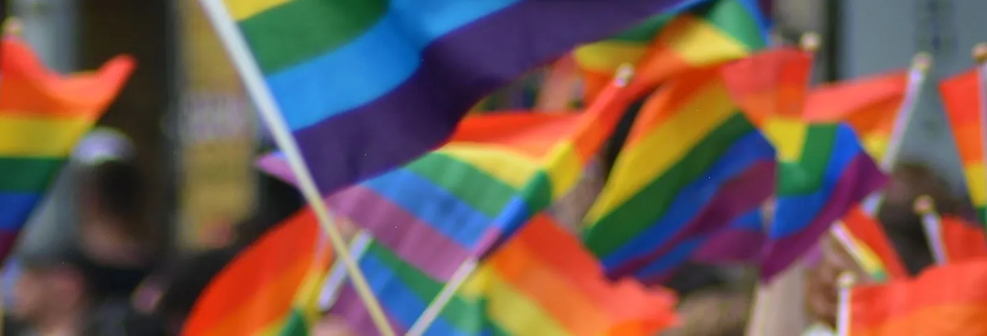Pridehäng 