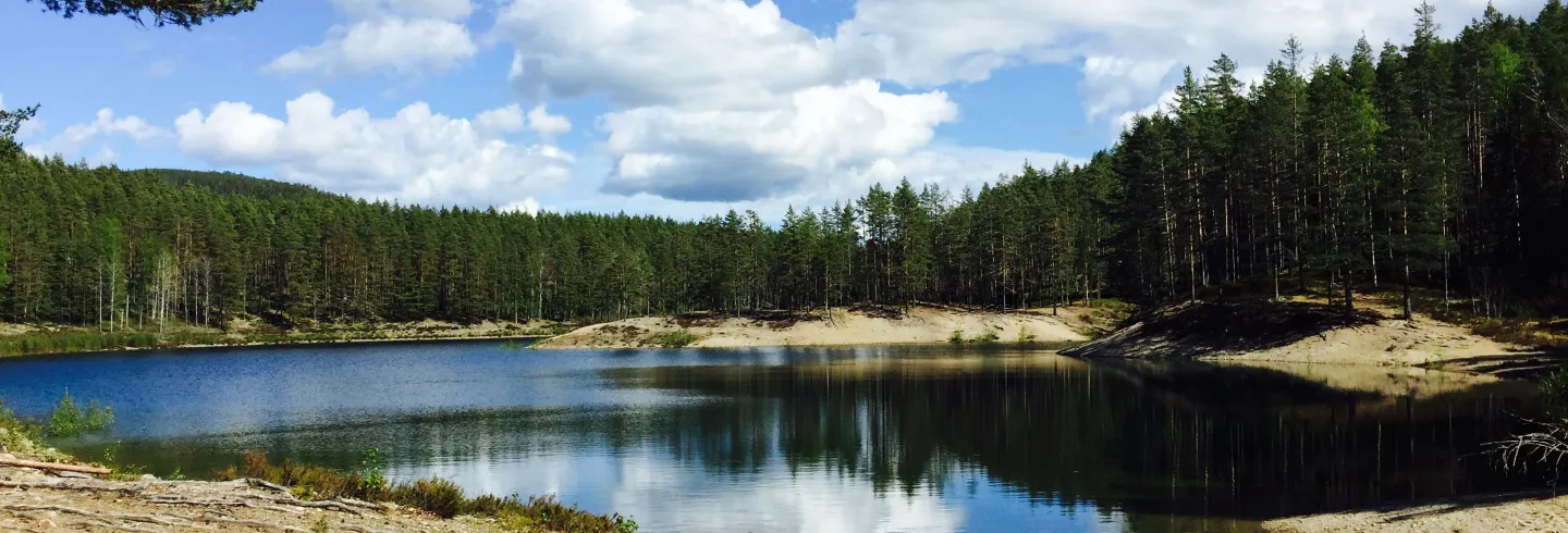 Gröntjärn’s nature reserve 