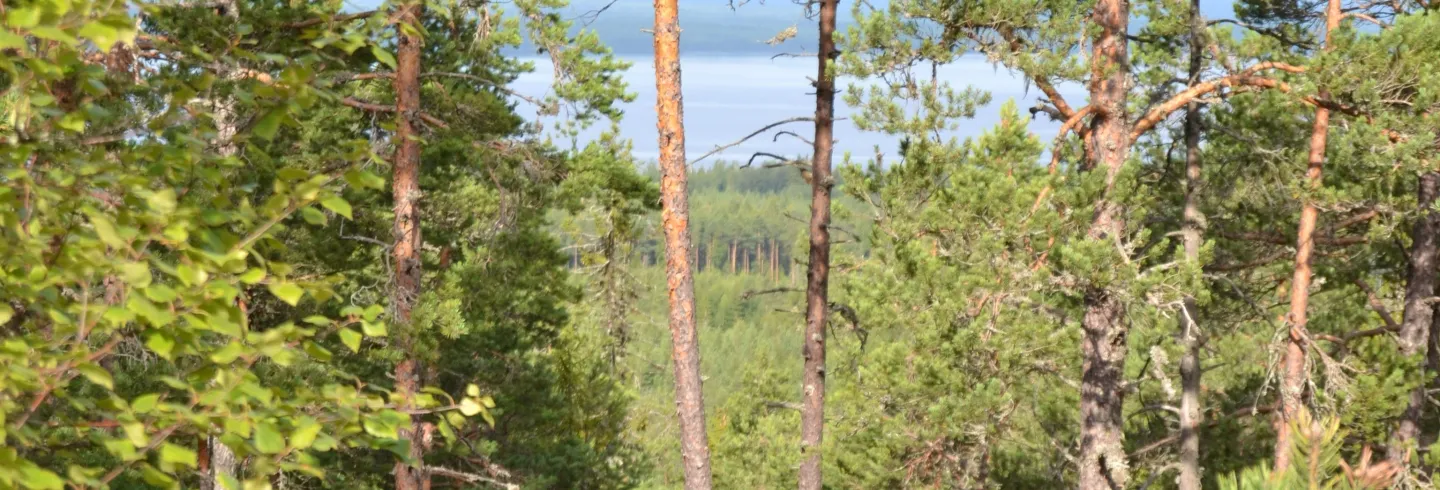 Utsikt från Josefsberget