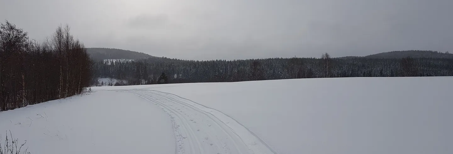Åkrarna i Södra Långsbo