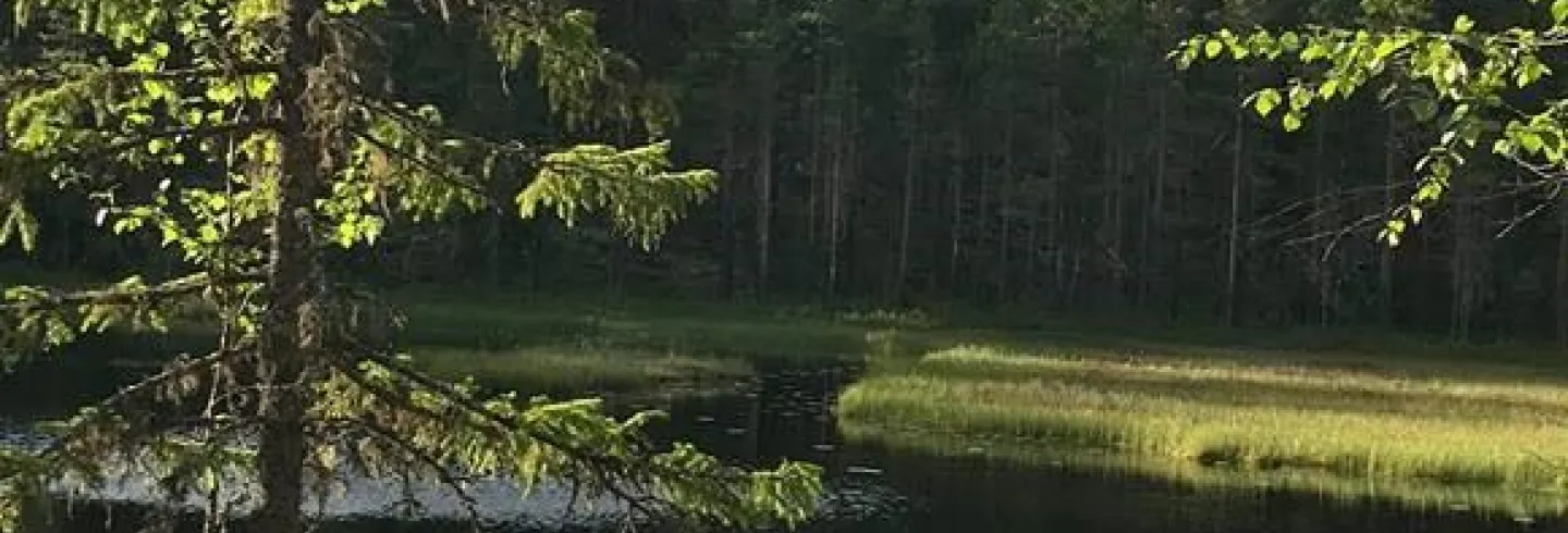 Gröntjärnsleden