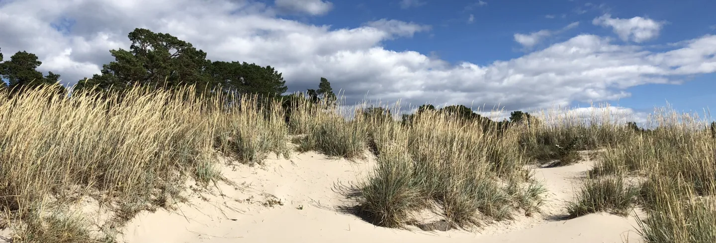 Hornslandet & Hölick