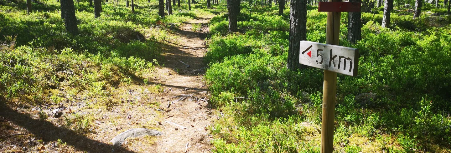 Elljusspåret Delsbo (Lighted Trail) 