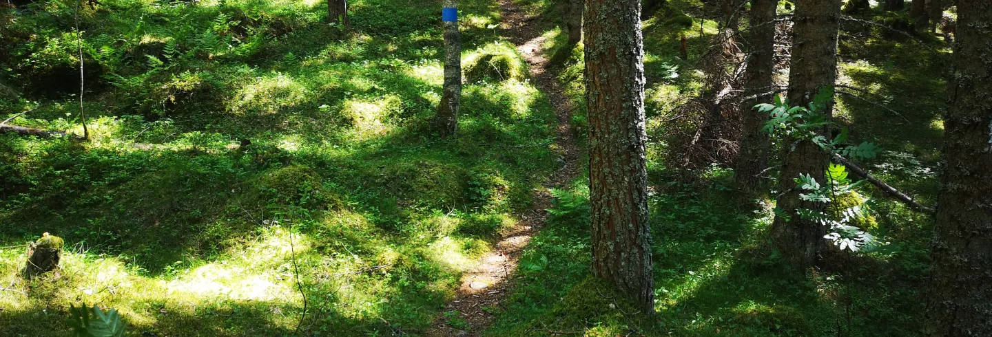 Vandringsled