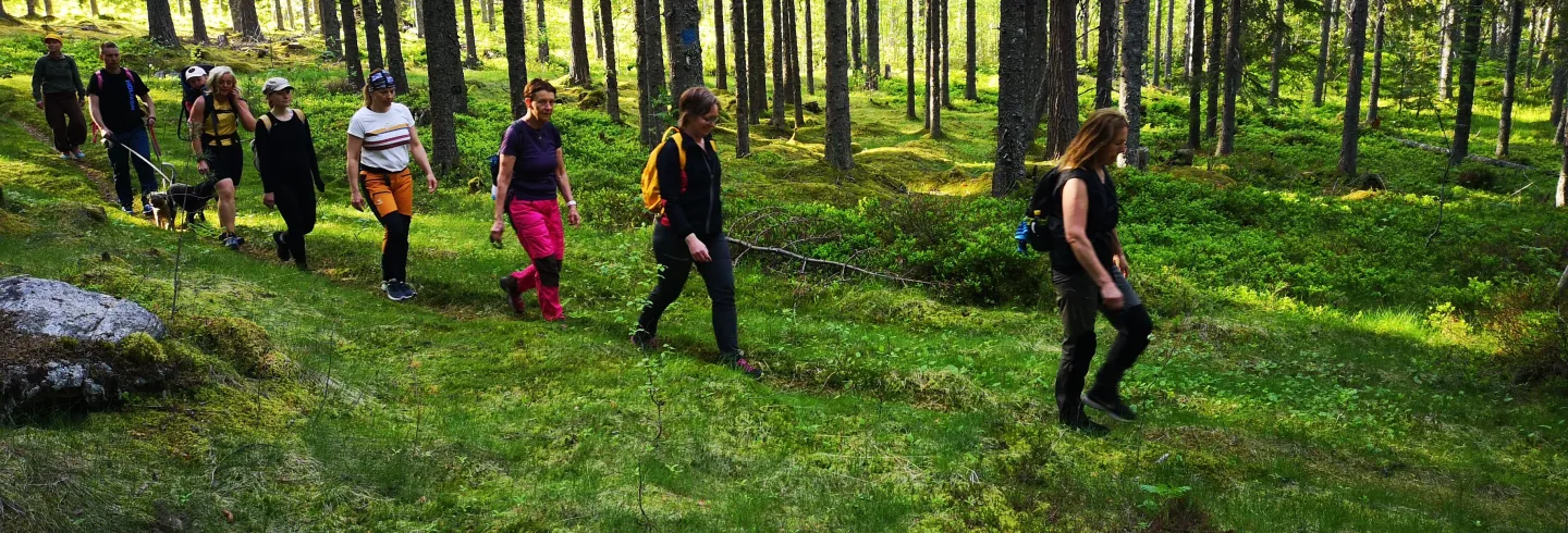 Vandring från Klövsvallen