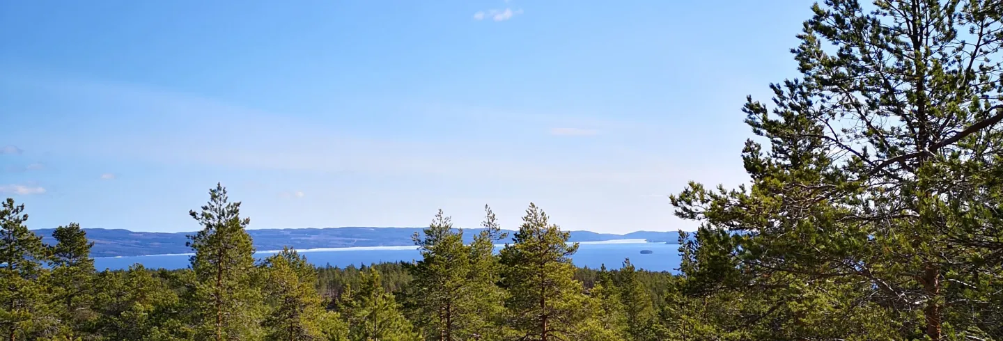 Avholmsbergets hiking path
