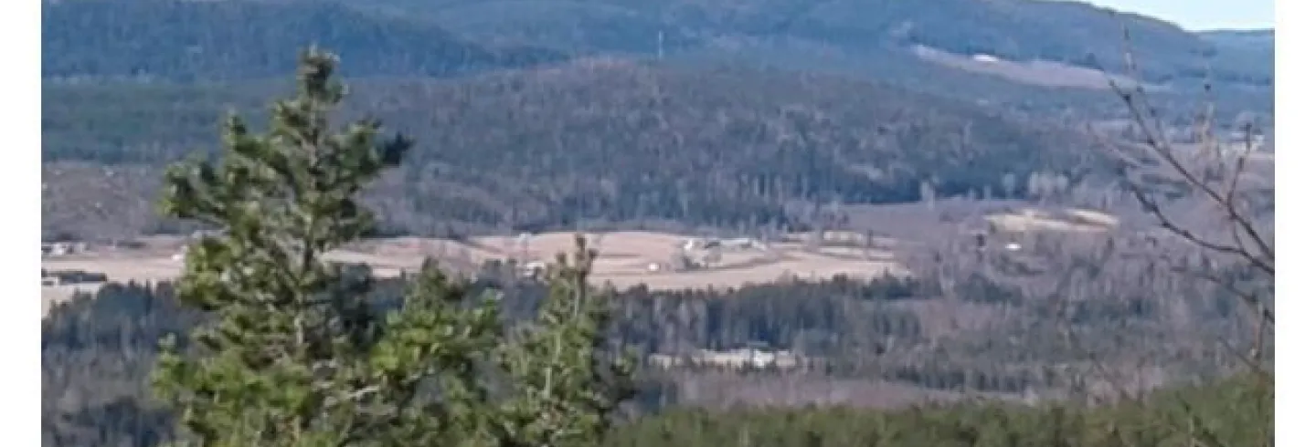 Gravmyrberget