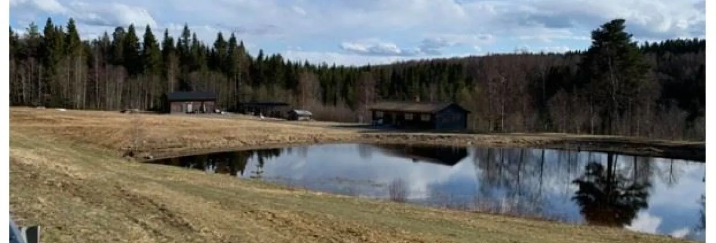 Björsarv camping/ställplats