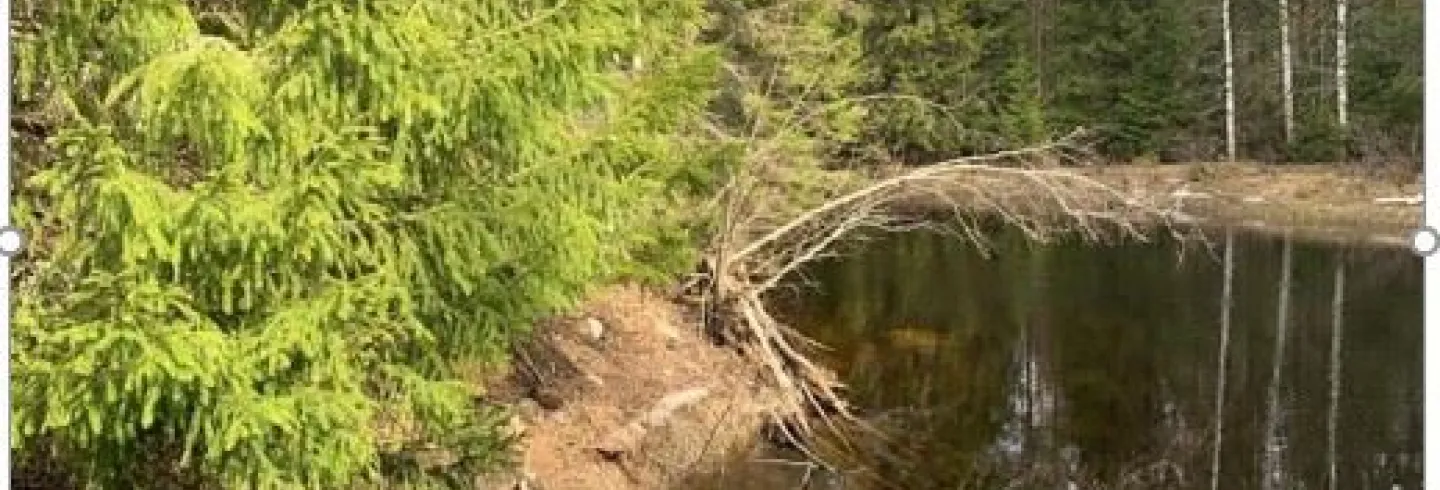 Björsarv camping/ställplats