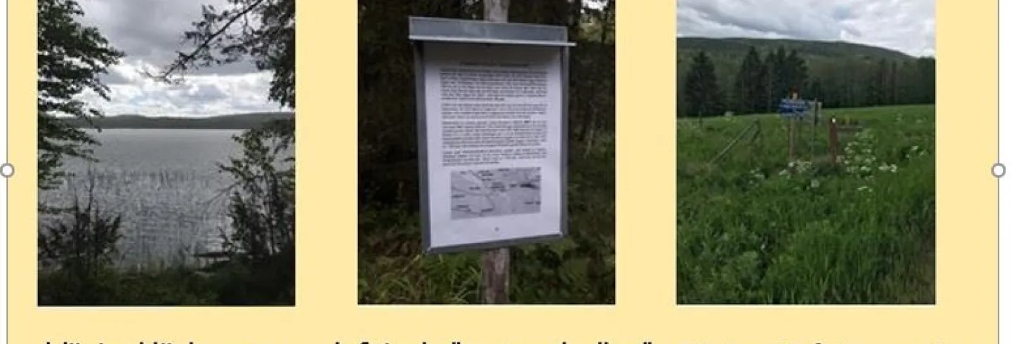Hävlungsleden