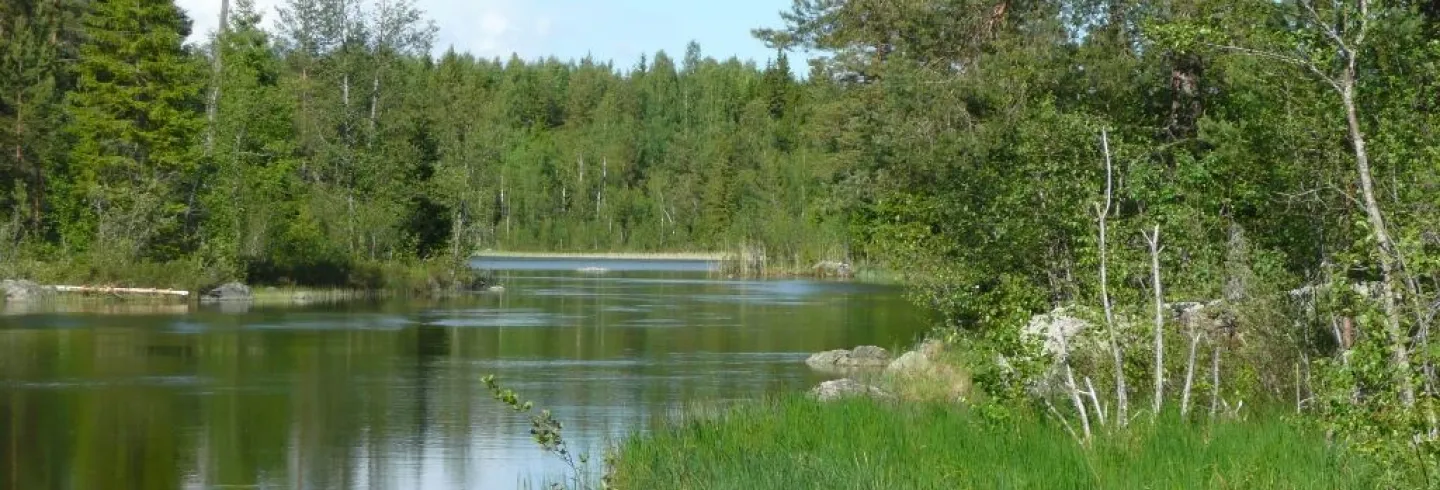 Forsa Fiskevårdsområde
