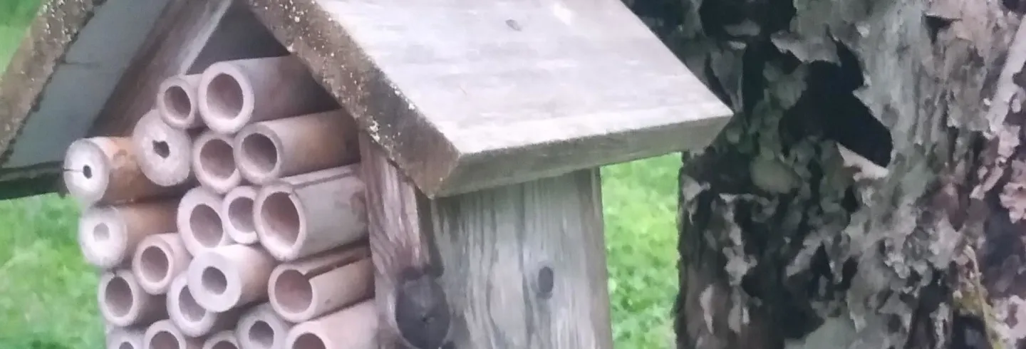 Även de små i trädgården ska bo bra