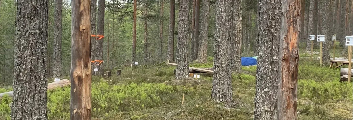 Aktiviteter i Svågadalen. Motionscenter på Bratthé / Ängebo IK