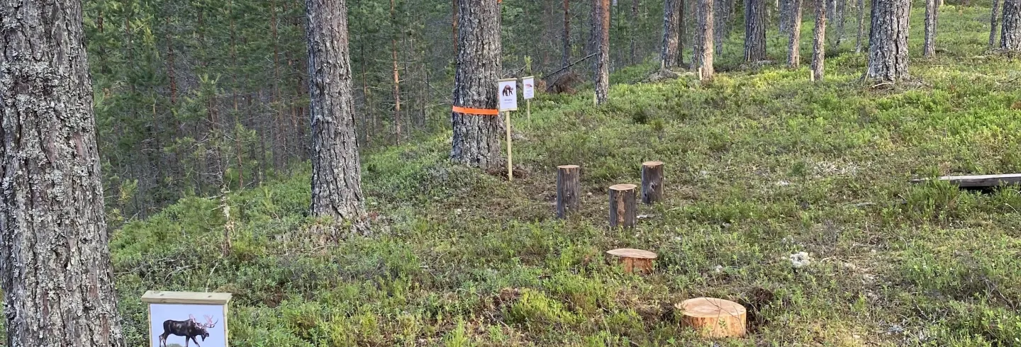 Aktiviteter i Svågadalen. Motionscenter på Bratthé / Ängebo IK