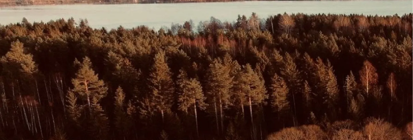 Gården