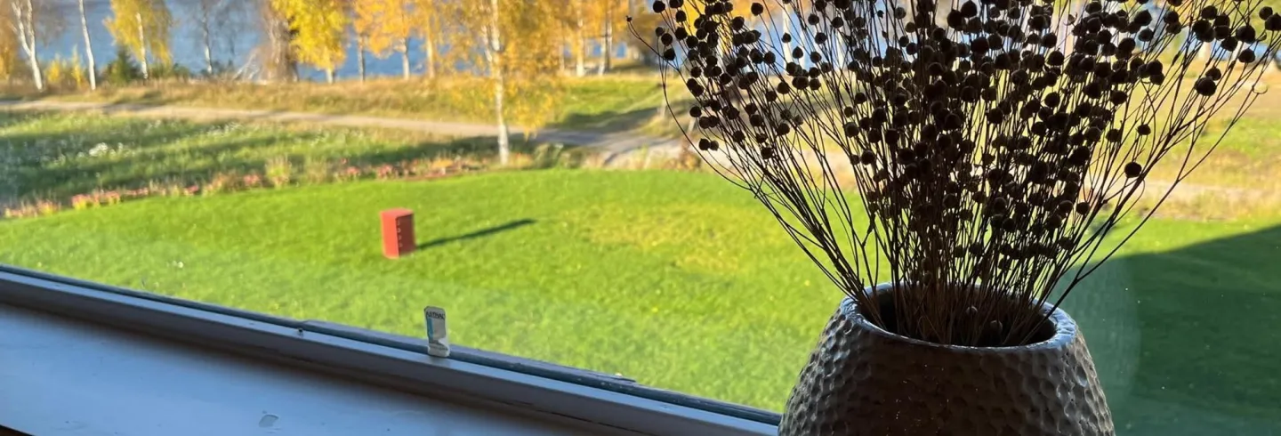 Bädd & Frukost in Bjuråker