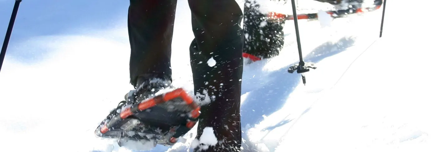 Guidad snöskovandring