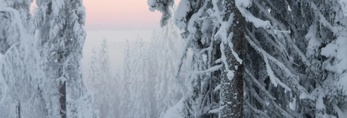 Guidad snöskovandring