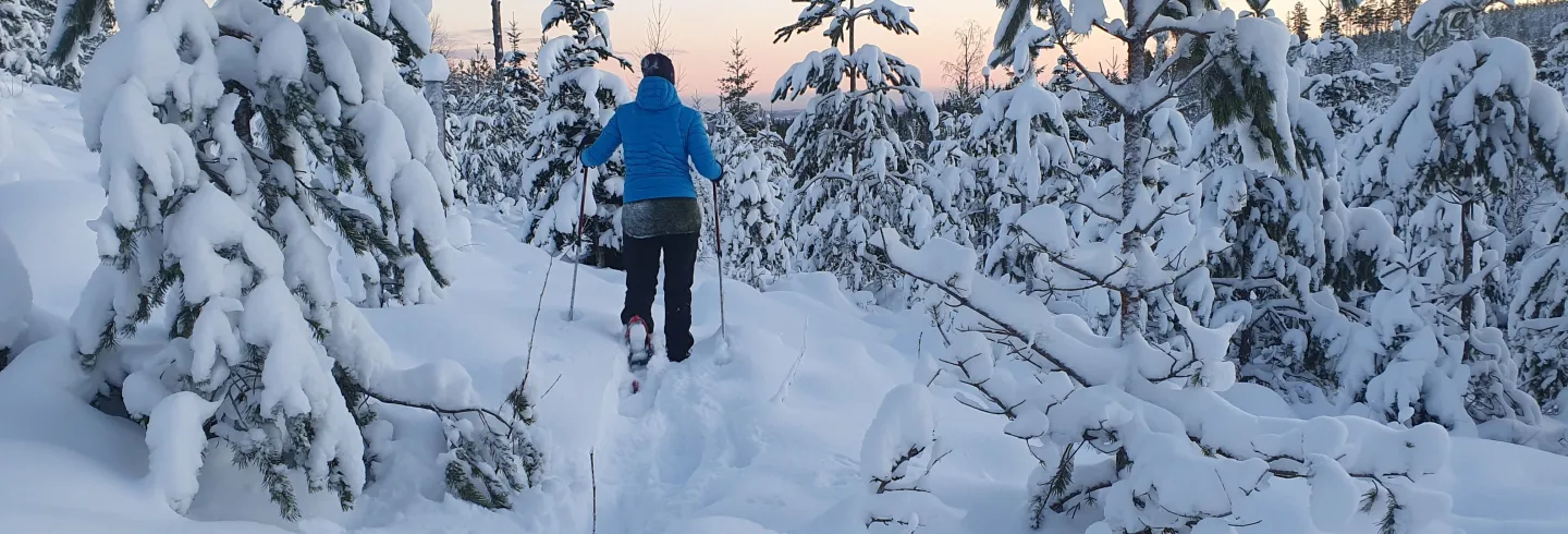 Guidad snöskovandring