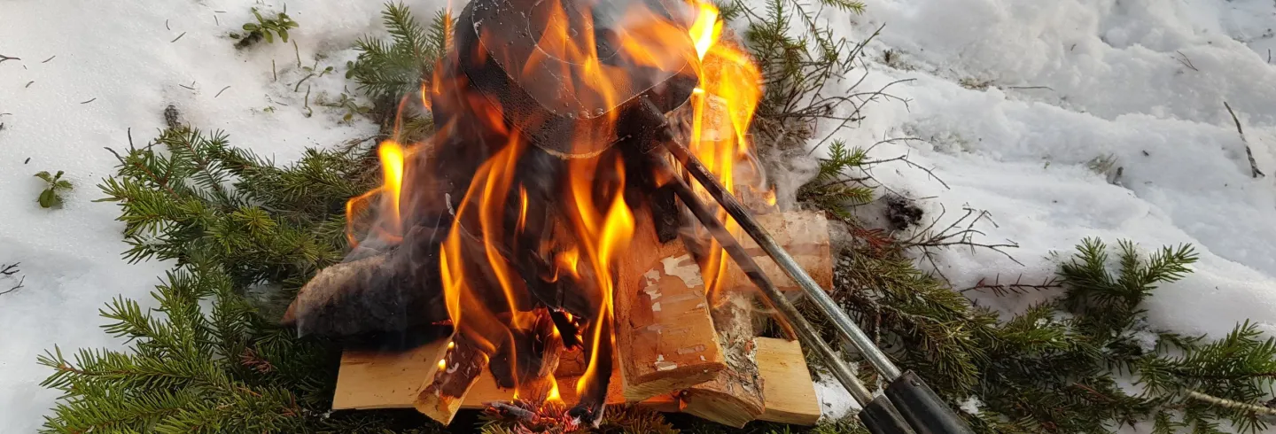 Guidad snöskovandring